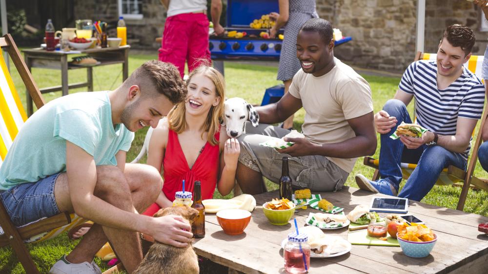 Group of friends at outdoor barbecue