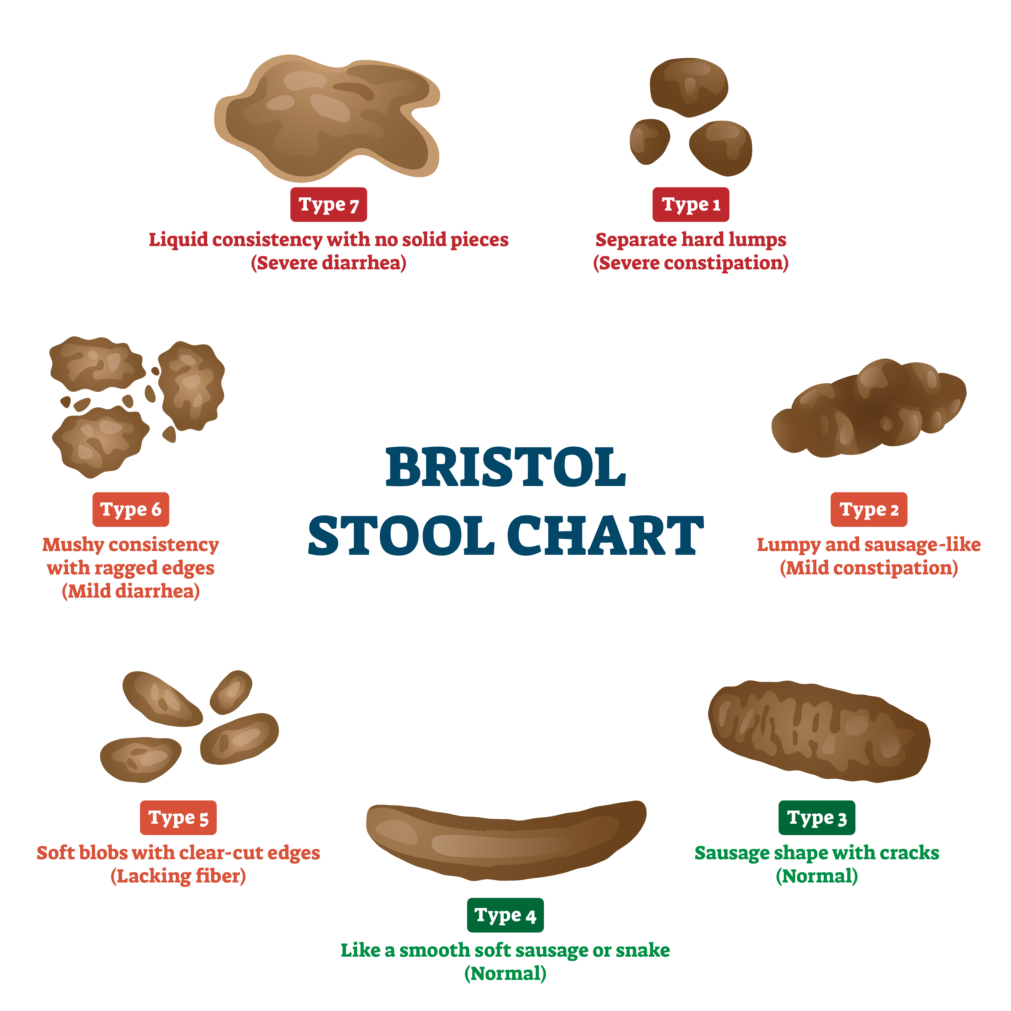 Healthy Poop: Daily Poop Journal | Bowel Movement Health Tracker | Bristol  Type Chart | Food & Stool Log