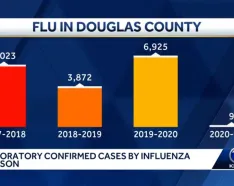 Flu numbers