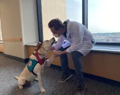 Dude the Therapy Lab