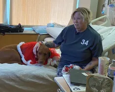 Trinity the therapy dog