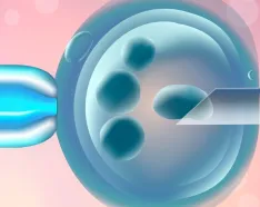 Image for post: The Pros and Cons of Becoming an Egg Donor