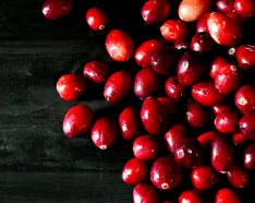 Image for post: Recognizing the Blessings on Your Holiday Plate 