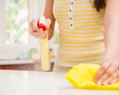 Image for post: Flu Prevention: Top Tips from the Pros