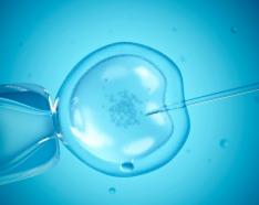 Image for post: Busting 4 Myths about IVF