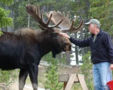 Image for post: Getting Back to Nature Through Excellent Care