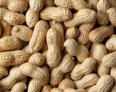 Image for post: Cutting Peanut Allergy Risk