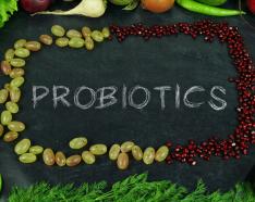 Image for post: Probiotics: Benefits of Good Bacteria 