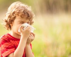 Image for post: 6 Ways to Handle Spring Allergies