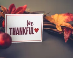 Image for post: Thank You is Good For You