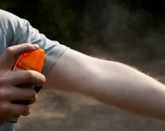 Image for post: Tick That Calls Nebraska and Iowa Home May Cause Red Meat Allergy