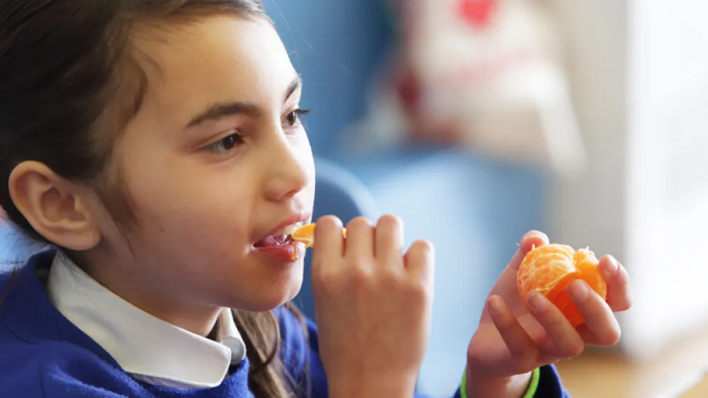 Elementary school student eating orange