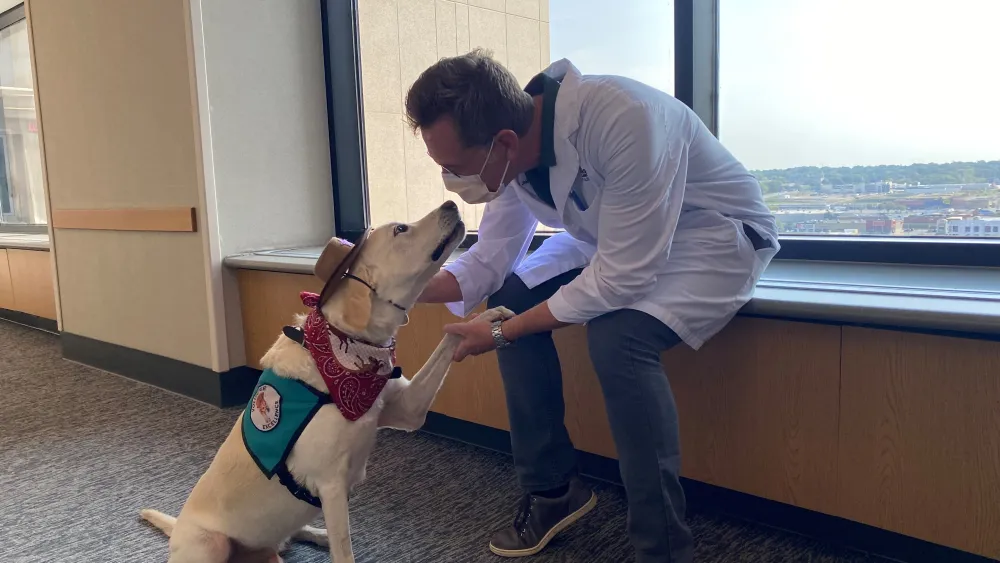 Dude the Therapy Lab