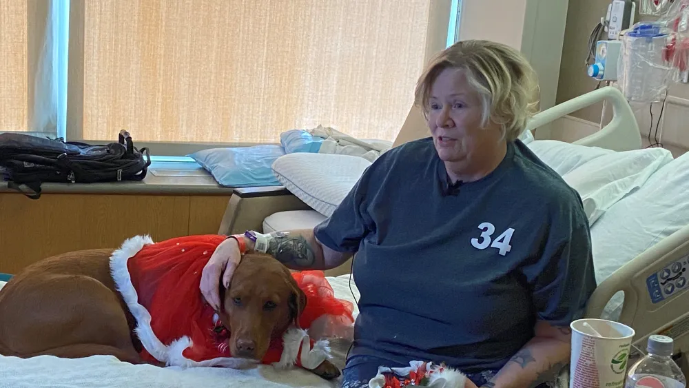 Trinity the therapy dog