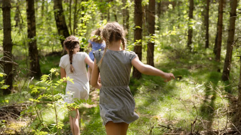 Image for post: Mosquitoes, Ticks and Spiders: The Creepy-crawly Hazards of Summer