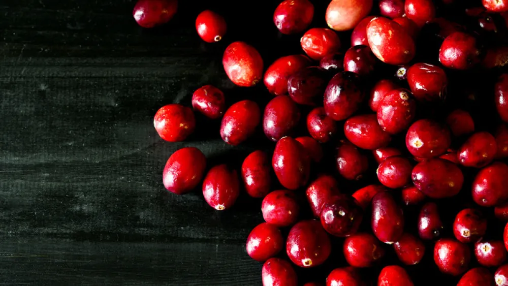 Image for post: Recognizing the Blessings on Your Holiday Plate 