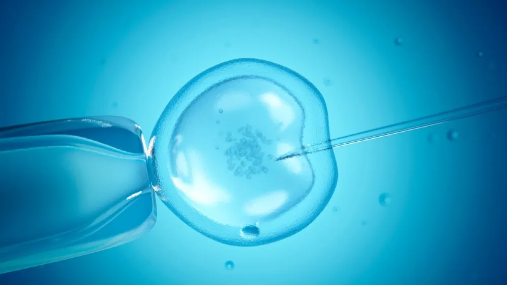 Image for post: Busting 4 Myths about IVF