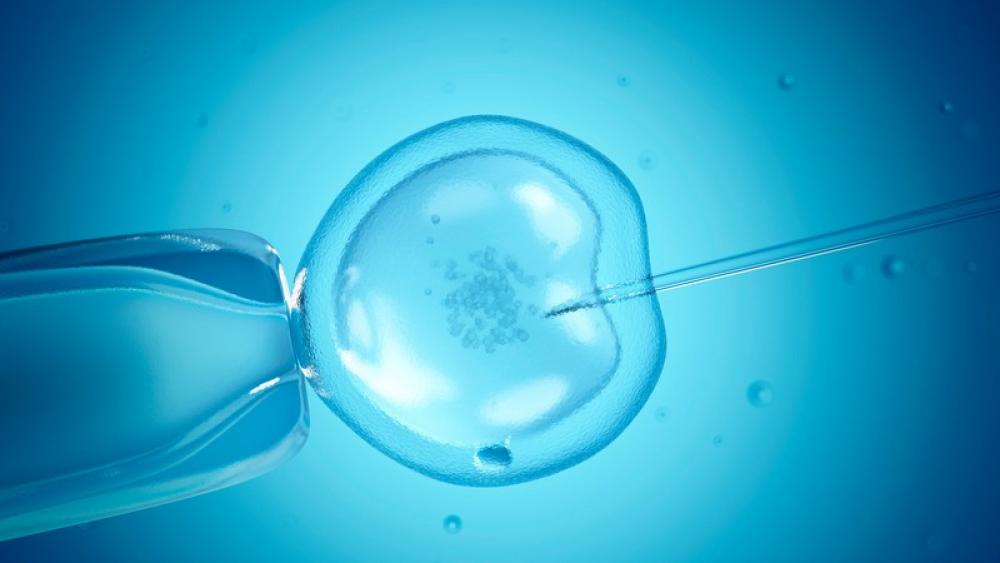 Image for post: Busting 4 Myths about IVF