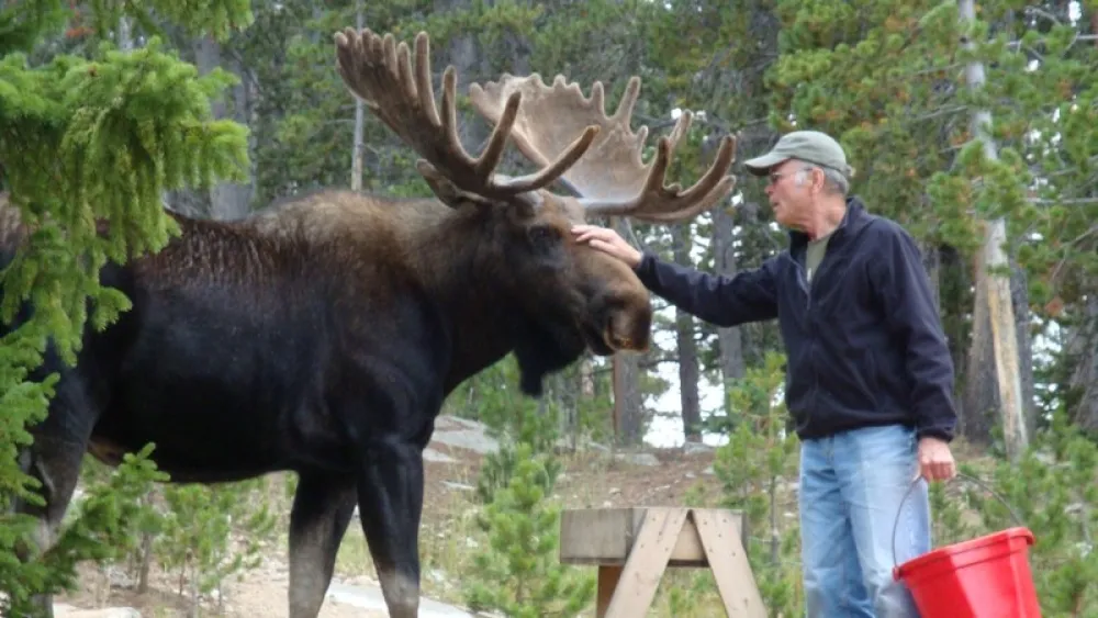 Image for post: Getting Back to Nature Through Excellent Care