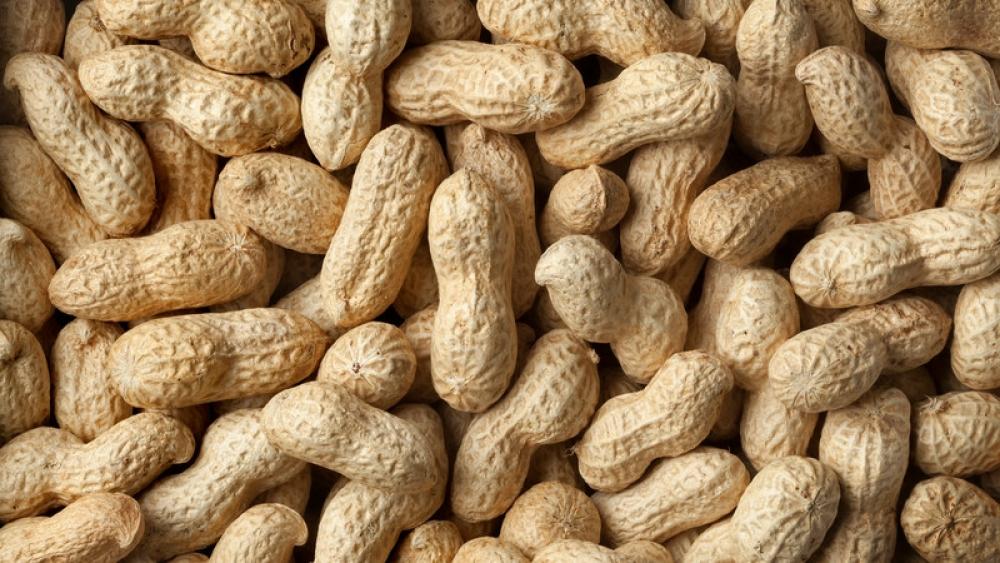 Image for post: Cutting Peanut Allergy Risk