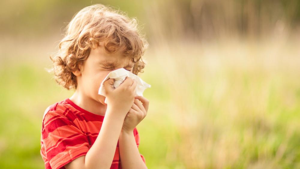 Image for post: 6 Ways to Handle Spring Allergies