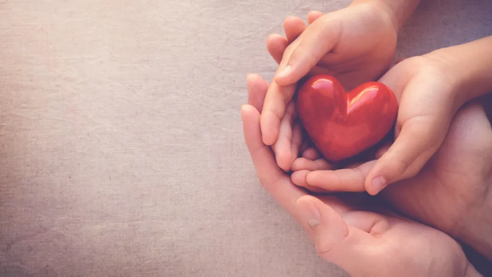 Image for post: How Does Organ Donation Work?