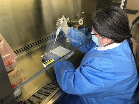 Medical technologist Tracy Poppert, MT(ASCP) handles a COVID-19 test at the Methodist Pathology Center-Schenken Pavilion.