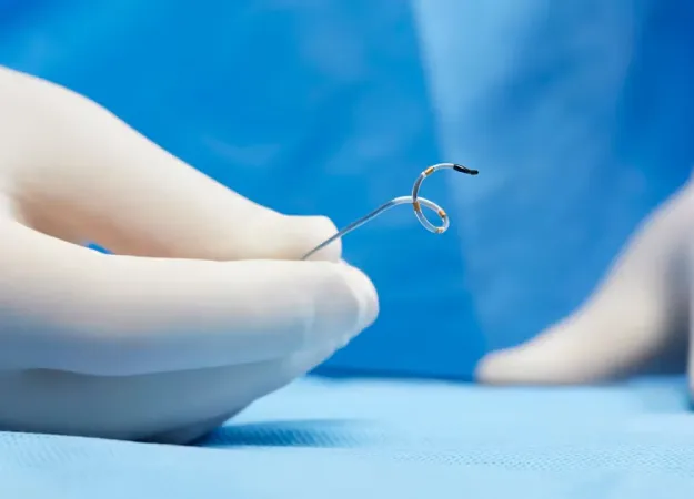 Medtronic Renal Denervation Catheter
