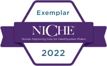 NICHE Exemplar Designation logo
