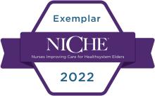 NICHE Exemplar Designation logo