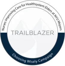 NICHE and ABIM Foundations Trailblazer Award
