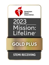 Logo for Mission Lifeline: STEMI Receiving Gold Plus 