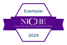 NICHE Exemplar Badge 2024
