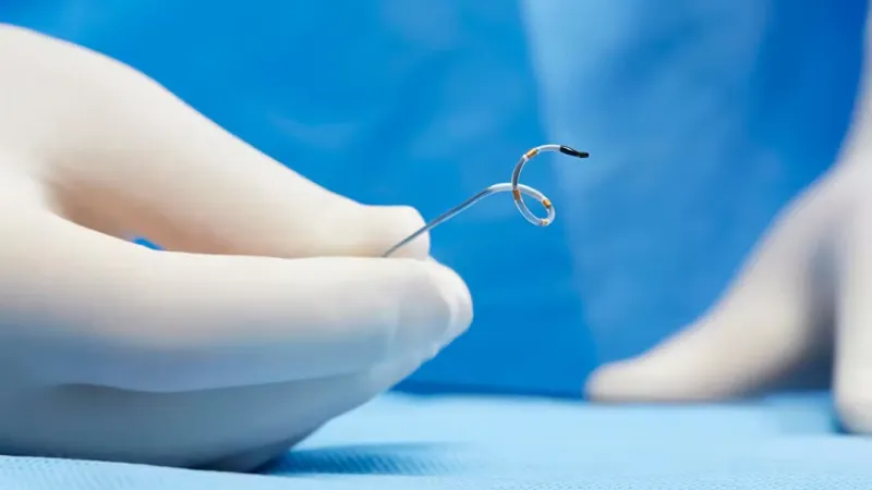 Medtronic Renal Denervation Catheter